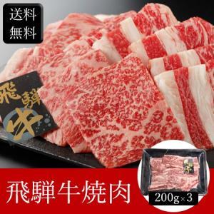 飛騨牛焼肉 [600g] ［送料無料］｜bishokuc