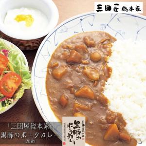 三田屋総本家　黒豚のポークカレー20食 ［送料無料］