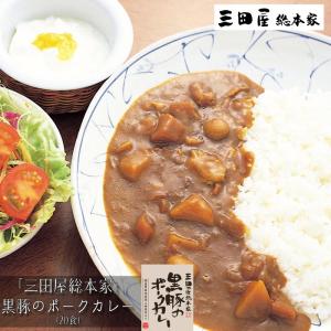 お中元ギフト2024にも！ 三田屋総本家　黒豚のポークカレー20食 ［送料無料］｜bishokuc