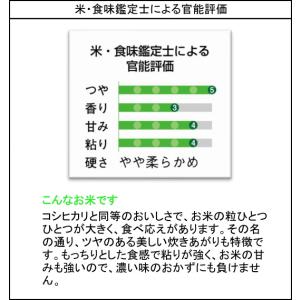 お中元(御中元)ギフト2026にも!2025年...の詳細画像1