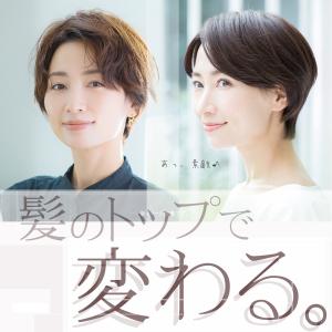 部分ウィッグ 自然 人毛100% 日本仕上げ ...の詳細画像1