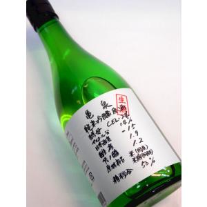 亀泉 CEL-24 純米吟醸生原酒 720ml　日本酒　薫酒　高知県、亀泉酒造(株)