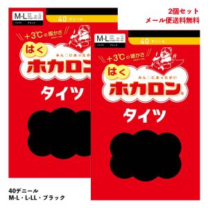 (2足セット) はく ホカロンタイツ 40デニール 黒 M-L・L-LL 蓄熱ナイロン レディース アツギ｜bisokuhanamai