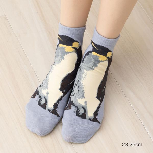 アニマル コウテイペンギン スニーカー丈ソックス 23-25cm レディース 靴下 動物