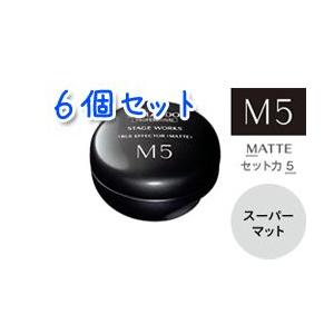 送料無料 資生堂 プロフェッショナル ステージワークス トゥルーエフェクター マット MATTE M5 80g×6本セット｜bisousinka