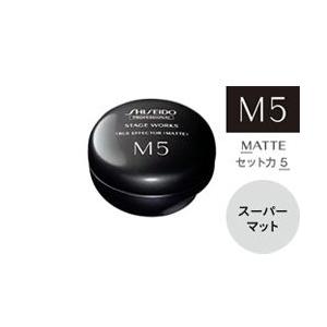 資生堂 プロフェッショナル ステージワークス トゥルーエフェクター マット MATTE M5 80g