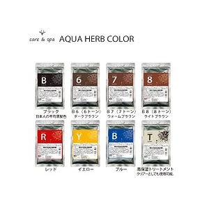 アルファブレインワールド デジパム R  アクアハーブカラー プレミアム 100g  医薬部外品  ...