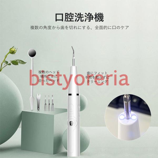 口腔洗浄器 電動歯ブラシ 口腔洗浄機 歯石取り 器具 口腔ケア美容器 超音波 生活級防水 五つのモー...