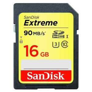 サンディスク SDHCカード16GB SDSDXNE-016G-GNCIN 並行輸入品｜bisuta