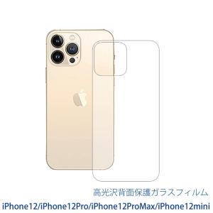 iPhone12/12Pro/12Pro/12mini 防気泡・フッ素防汚コートTPU背面光沢保護フィルム