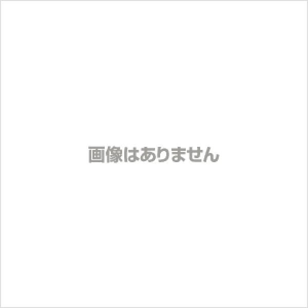 ラベル用紙 キヤノン マットラベルII 100×100mm 4506V506