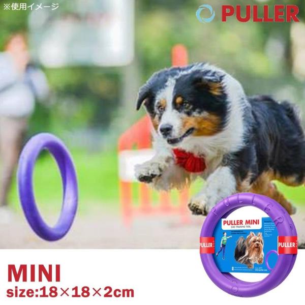 Dear・Children　ドッグトレーニング玩具　PULLER Mini　小