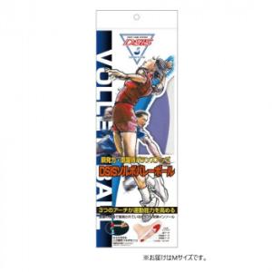 DSISソルボバレーボール　M