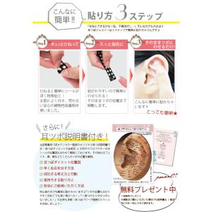 ≪カラーリニューアル!≫耳つぼジュエリー ロー...の詳細画像3