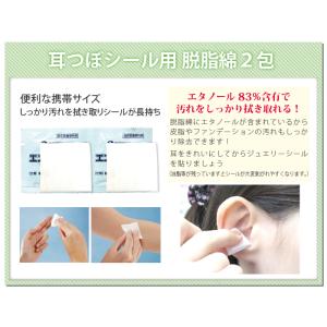 耳つぼ専門店スターターキット【トライアルセット...の詳細画像4