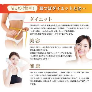 耳つぼシール【チタンビーズクリア100粒】 マ...の詳細画像5