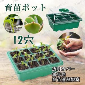 育苗ポット 12穴 5点セット 10点セット 育苗トレイ