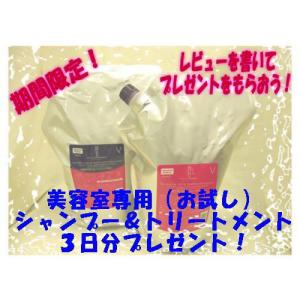ミルボン　ディーセス　ノイ　ドゥーエ　ヴェロアリュクス　業務サイズ　　シャンプー（２5００ｍｌ）&amp;トリートメント（２５００ｇ）