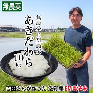 米 お米 30kg 長寿米 コシヒカリ 無農薬 令和4年産 2022年産 吉田農園