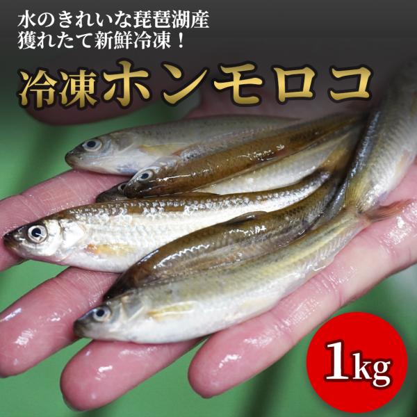 天然 ホンモロコ 1000g 冷凍 調理用 琵琶湖産 滋賀県産 魚友商店 送料無料