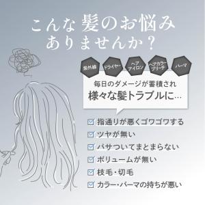 【24年デザイン】サロン用ヘマチン原液 ナチュ...の詳細画像5