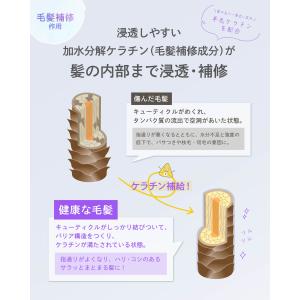【24年デザイン】サロン用ケラチン原液 100...の詳細画像5