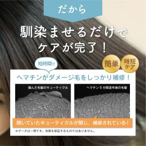 サロン用ヘマチン原液 100g ナチュラルヘマ...の詳細画像2