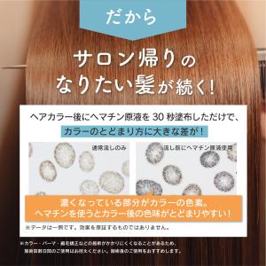 サロン用ヘマチン原液 100g ナチュラルヘマ...の詳細画像4
