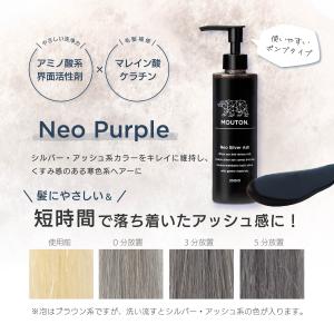 美容室専売品 ネオシルバーアッシュシャンプー ...の詳細画像2