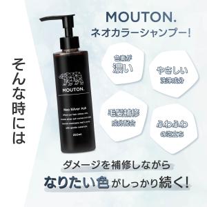 美容室専売品 ネオシルバーアッシュシャンプー ...の詳細画像4