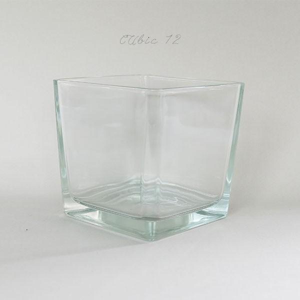 CUBIC 12 テラリウム ガラスキューブ 多肉植物 水槽 花瓶 メダカ