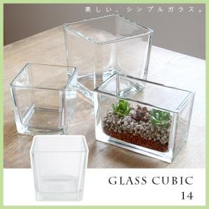 HANKING BASE BOWL テラリウム ガラス 吊り下げ ハンキング おしゃれ