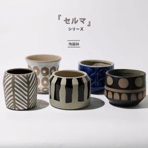 八角鉢 7寸 検/八角 プラ 鉢 アガベ鉢 台湾鉢 チタノタ titanota