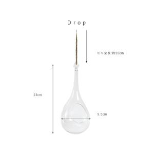 HANKING BASE DROP テラリウム...の詳細画像2