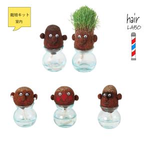 HAIR LABO ガーデニング 栽培キット 芝 室内 おもしろ植物 ヘアラボ｜biyori