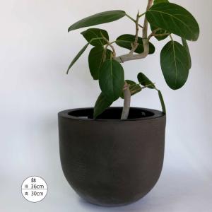 生子盆栽鉢植木鉢大型海鼠縄縁胴縄　高級植木鉢山野草青3つ足31x19x12 植木鉢 陶器 大型 和風 おしゃれ 盆栽 山野草 仕立鉢 ラン 蘭