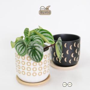 植木鉢 おしゃれ ヴィリア11 鉢カバー セラミックポット 陶器 径11cm