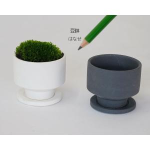 植木鉢 おしゃれ 陶器鉢 はなせminimin...の詳細画像5