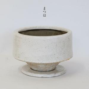 おしゃれ 植木鉢 まつほ L 受皿付セラミック 釉薬鉢