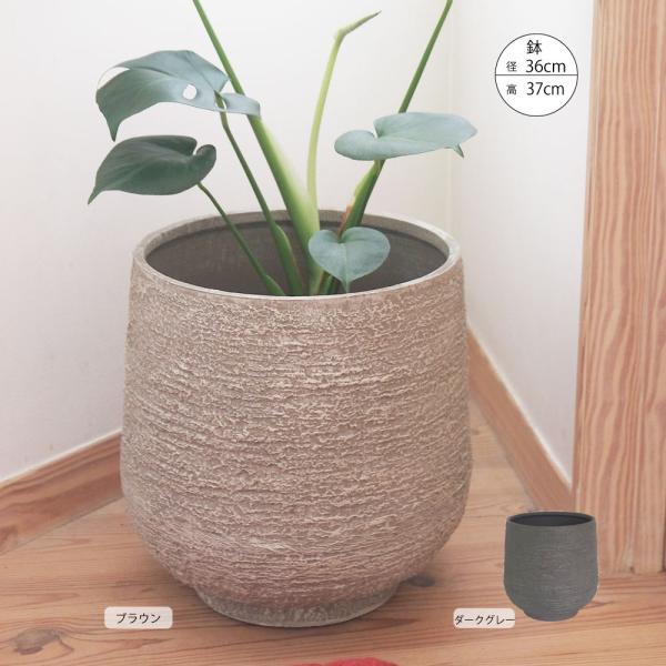 植木鉢 プラ鉢 おしゃれ 大型 ベンチュラ36 頑丈 プラスチック鉢 軽量