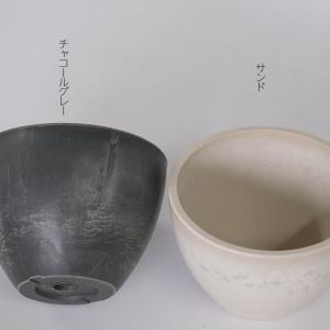 植木鉢  プラポット bowl 10 S/C