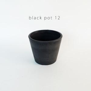 植木鉢 ブラックポット 12