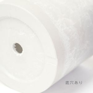 プラ鉢 ホワイトポット 17 サボテン 頑丈 ...の詳細画像2