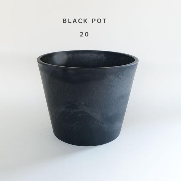 植木鉢 ブラックポット 20 頑丈 肉厚プラ 塊茎植物 アガベ black plastic pot