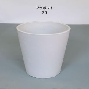 プラ鉢 ホワイトポット 17 サボテン 頑丈 おしゃれ 塊根植物 多肉