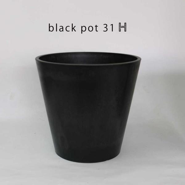 黒 プラ鉢  ブラックポット 31ハイタイプ サボテン 頑丈 おしゃれ 塊根植物 多肉 黒プラスチッ...