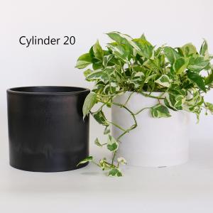 アガベ 約20cm 黒鉢付き 植木鉢 ブラックポット 20 頑丈 肉厚プラ 塊茎植物 アガベ black