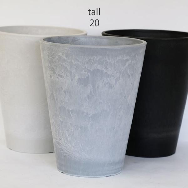 プラポット トール20 サボテン 頑丈 おしゃれ 塊根植物 多肉 黒プラスチック鉢 コーデックス 径...