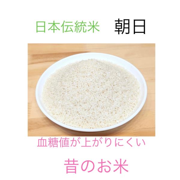 自然栽培　朝日米（白米3kg）　香川県産　血糖値が上がりにくいお米　大正時代誕生の在来米