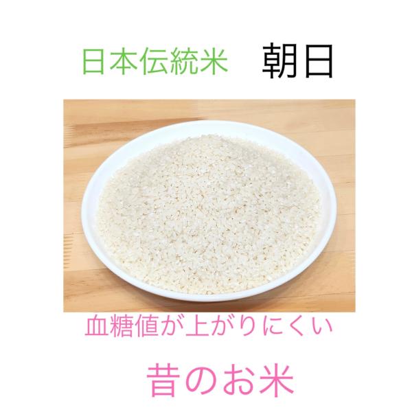 自然栽培　朝日米（白米5kg）香川県産　血糖値が上がりにくいお米　大正時代誕生の在来米